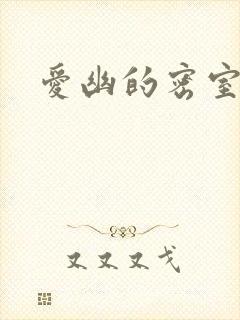 爱幽的密室小说