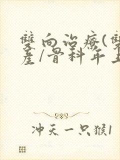 双向治疗(双/产/骨科年上)