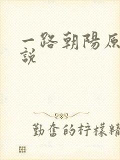 一路朝阳原著小说