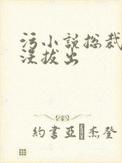 污小说总裁整夜没拔出