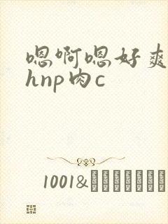 嗯啊嗯好爽啊高hnp肉c封面