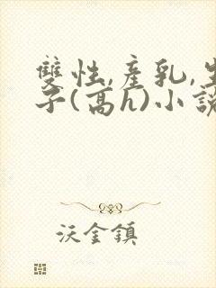 双性,产乳,生子(高h)小说