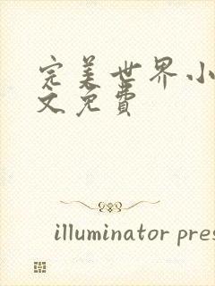 完美世界小说全文免费封面