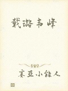 戴璐韦峰封面