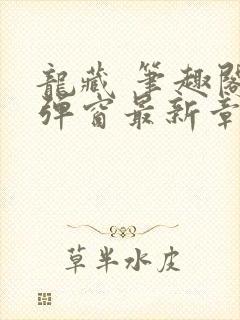 龙藏 笔趣阁无弹窗最新章节