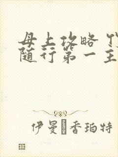 母上攻略 竹影随行第一主板