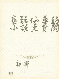 亵玩仙尊的道侣小说免费阅读