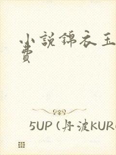 小说锦衣玉令免费