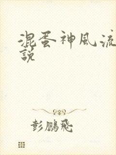 混蛋神风流史小说