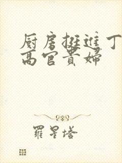 厨房挺进丁字裤高官贵妇封面