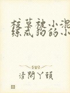 校草被小混混训练成狗的小说