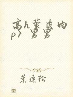 高h荤爽肉〈np〉男男