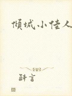 倾城小佳人封面