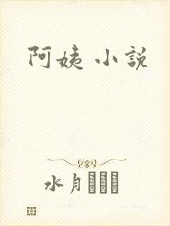 阿姨 小说
