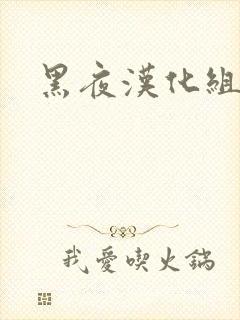 黑夜汉化组