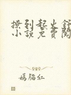 撩到起火舒漾的小说免费阅读全文