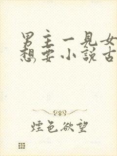 男主一见女主就想要小说古言