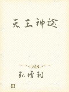 天王神途封面