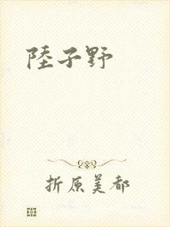 陆子野封面