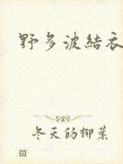 野多波结衣