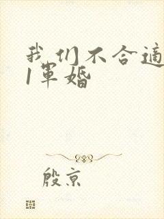 我们不合适1v1军婚