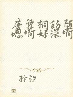 唐舞桐的堕落H嗯啊好深啊封面