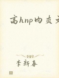 高hnp肉爽文
