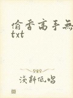 偷香高手无删减txt
