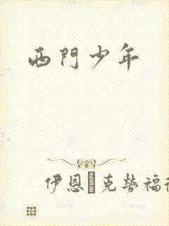 西门少年封面