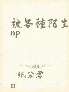 被各种陌生人 np