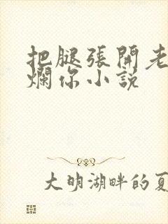 把腿张开老子臊烂你小说