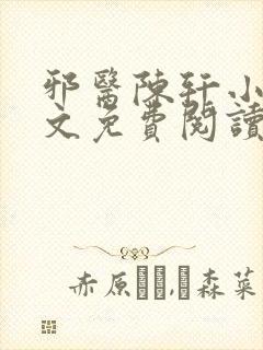 邪医陈轩小说全文免费阅读