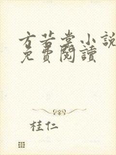 方若棠小说全文免费阅读封面