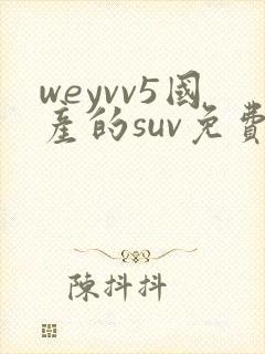 weyvv5国产的suv免费