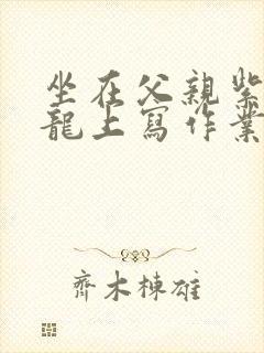 坐在父亲紫色大龙上写作业