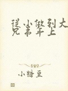 从小做到大骨科兄弟年上封面