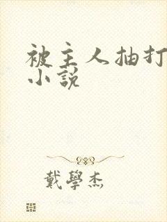 被主人抽打奶头小说封面