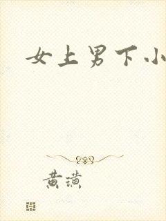 女上男下小说