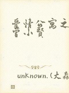 爱情公寓之极品曾小贤封面