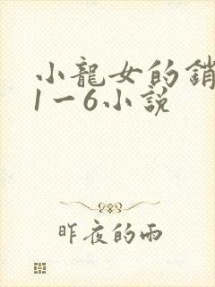 小龙女的销魂夜1一6小说