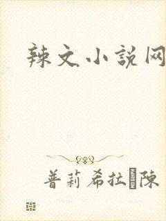 辣文小说网h文封面