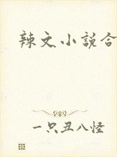 辣文小说合集封面