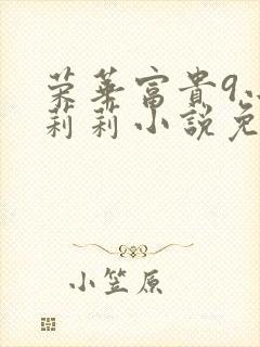 荣华富贵9小王莉莉小说免费阅读