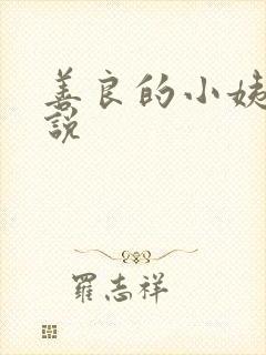 善良的小姨子小说