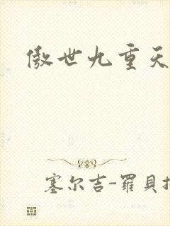 傲世九重天小说