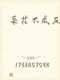 采花不成反被采