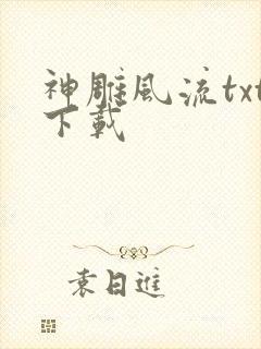 神雕风流txt下载