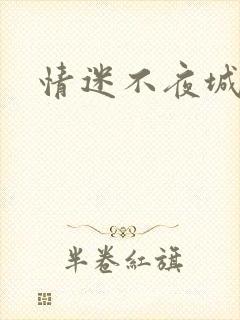 情迷不夜城