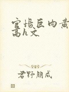 官场巨肉黄暴辣高h文