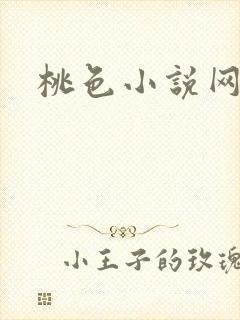 桃色小说网